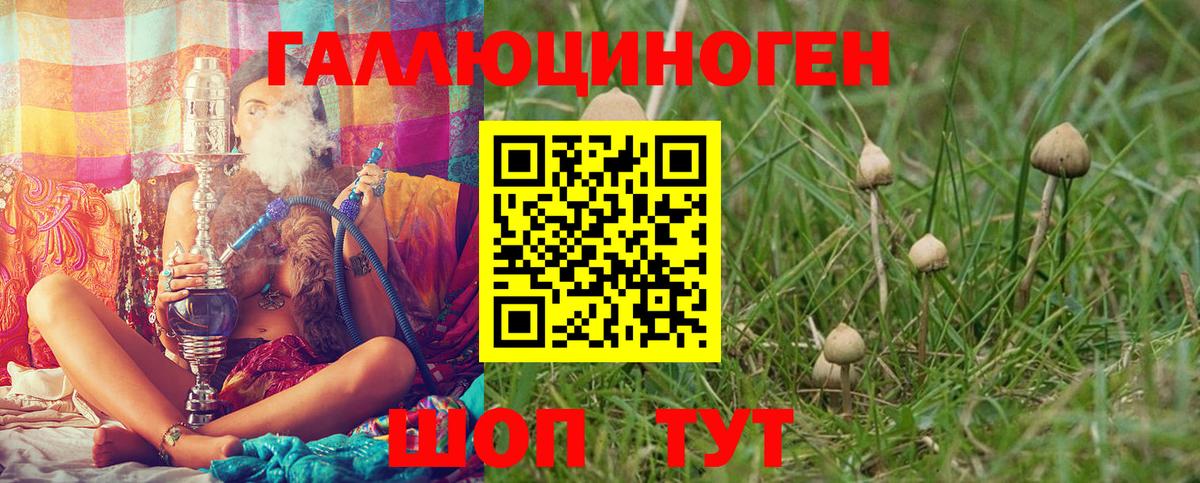 Псилоцибиновые грибы MAGIC MUSHROOMS  Псилоцибиновые грибы Magic Shrooms  Сибай 